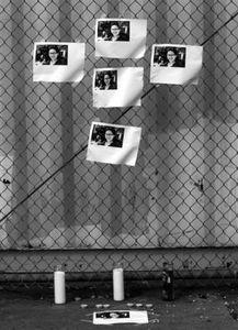 新闻诡异爆料最新视频